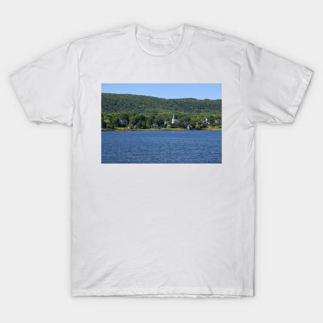 850_4858 T-Shirt by wgcosby